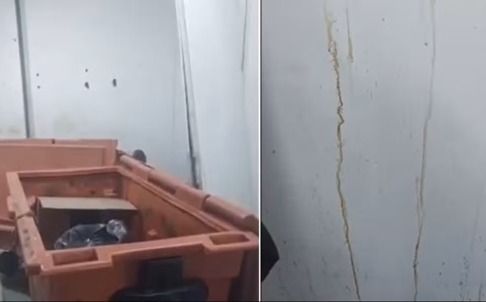 Vídeos mostram ratos, baratas e sujeira dentro de UPA em Cabo Frio