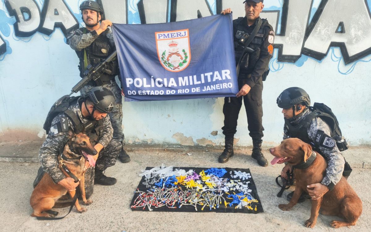 Cães do BAC localizam drogas escondidas em meio a escombros durante operação em comunidade de Macaé